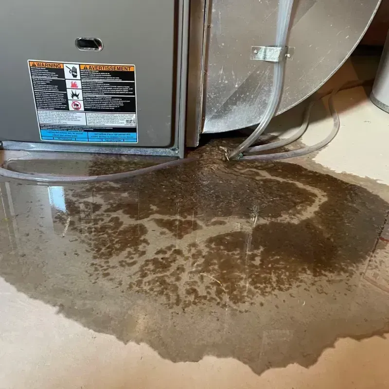 Appliance Leak Cleanup in Brown City, MI